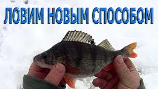 Успешная ловля окуня в глухозимье