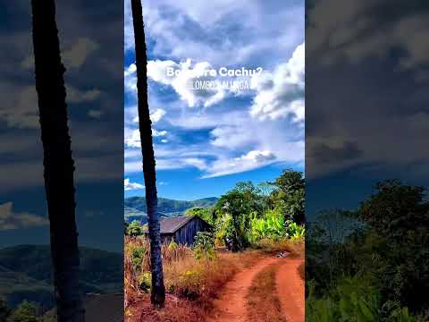 Roça no Quilombo Kalunga em  Cavalcante