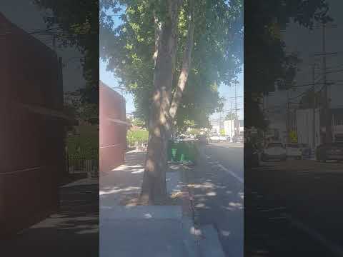 city of san jose is aware of this mini freeway.   By Laurel Pre k speeding children present at times