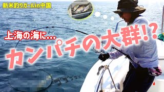 【カンパチ】激ウマ！カンパチが大漁!? 舟山釣行でひっとみん大はしゃぎ！
