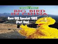 Big Bird Visits China In RARE SESAME STREET SPECIAL VHS 1983 Part 1