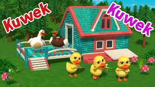 Download lagu Bebek Kuwek Kuwek - Lagu Anak Indonesia Balita mp3