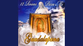 Madre Mia De Guadalupe