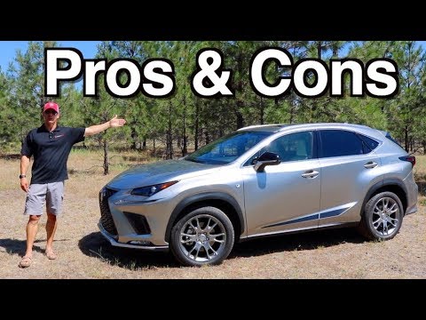 Reasons FOR and AGAINST: 2019 Lexus NX 300 Review on Everyman Driver
