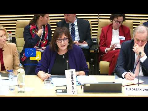 Video Thumbnail: Gaza Recovery Plan ⚡ EU Pushes for Urgent Action! Now We Need Access – Šuica on Gaza Crisis!