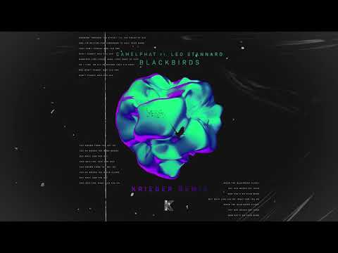 CamelPhat ft. Leo Stannard - Blackbirds (KRIEGER Remix)