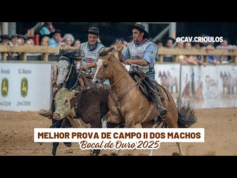 Ópio da Baraúna • Melhor Prova de Campo II dos Machos no Bocal de Ouro 2025