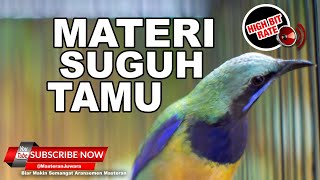 Download lagu 🔴Suara Masteran Kasar Cucak Cungkok Gacor❗️Nembak Beset Kasar❗️ mp3 Download lagu 🔴Suara Masteran Kasar Cucak Cungkok Gacor❗️Nembak Beset Kasar❗️ mp3
