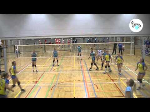 Compilatie Flamingo's '56  - Brainconsultant/Donitas