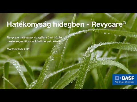 Hatékonyság hidegben - Revycare®