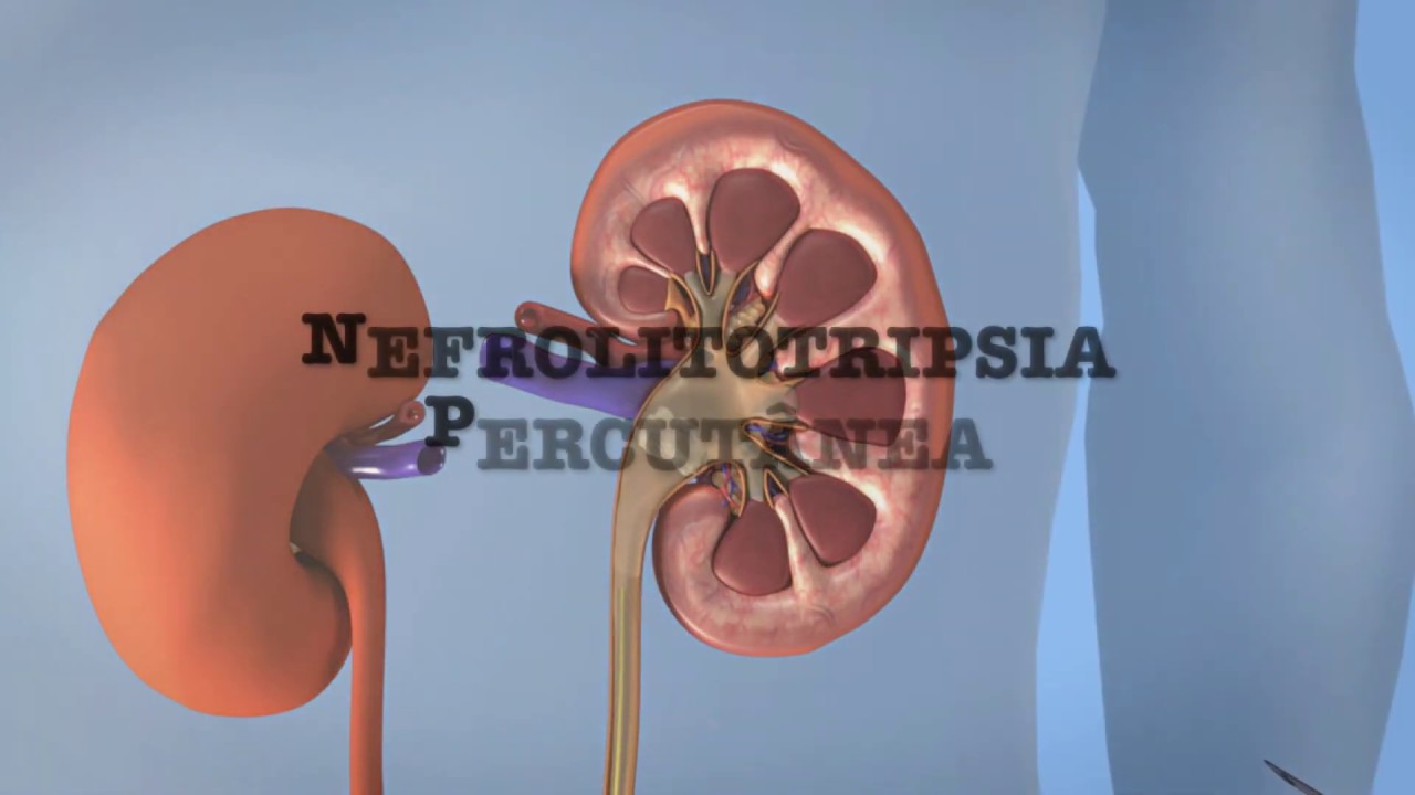 Alexandre Augusto Monteiro Sato-15