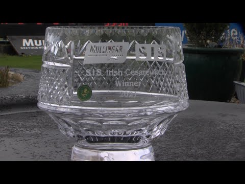 SIS Irish Cesarewitch Open 600 2021 Final
