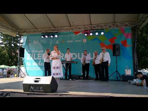 ZILELE ARADULUI 2017 PIATA AVRAM IANCU - RAMONA ANCATEU - AM UMBLAT LUME PRIN TINE