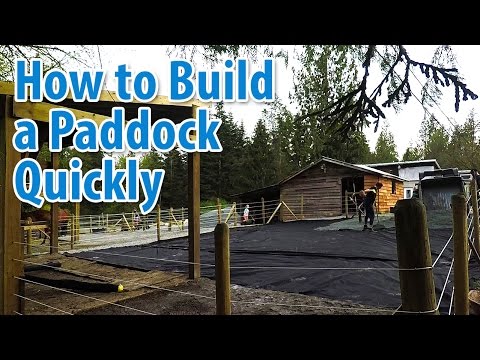 How to Build a Paddock in an Hour and a Half!