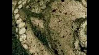 King Conquer - Streets of Rage