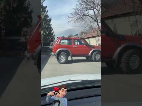 Нива в Осетии #shorts