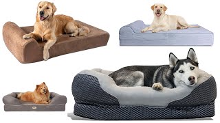 Top 5 Best Large Dog Beds Review and Buying Guide 🔥🔥🔥