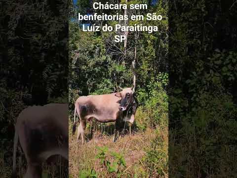 Terrenos a venda em São Luiz do Paraitinga-SP,  área a partir de 2 hectares. á  partir de R$ 275.000