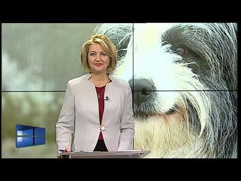 Actual regional din 30 octombrie 2019 prima parte