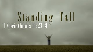Stand Tall!