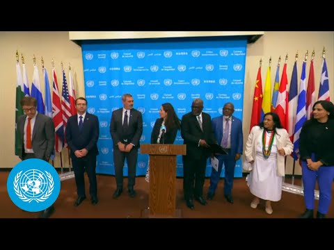Video Thumbnail: ICC Caucus: Joint Stakeout on Libya | United Nations