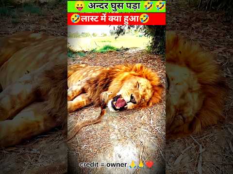 अन्दर घुस पड़ा😱😃ep03062#shortvideo #comedy #youtubeshorts #viral #funny #engineering #shorts #viral