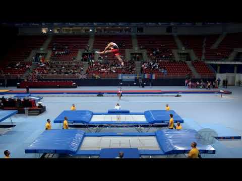 Portugal 2 (POR) M - 2017 Trampoline Worlds, Sofia (BUL) - Qualification Synchro R2