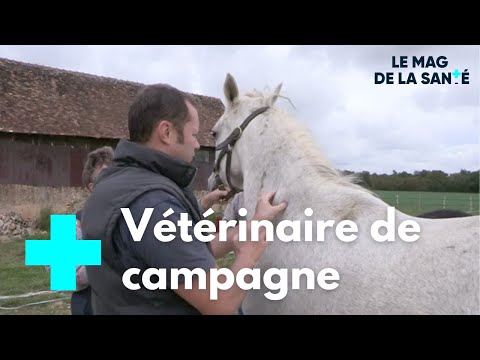 , title : 'Soigner les chevaux : un métier, une vocation - Le Magazine de la Santé'
