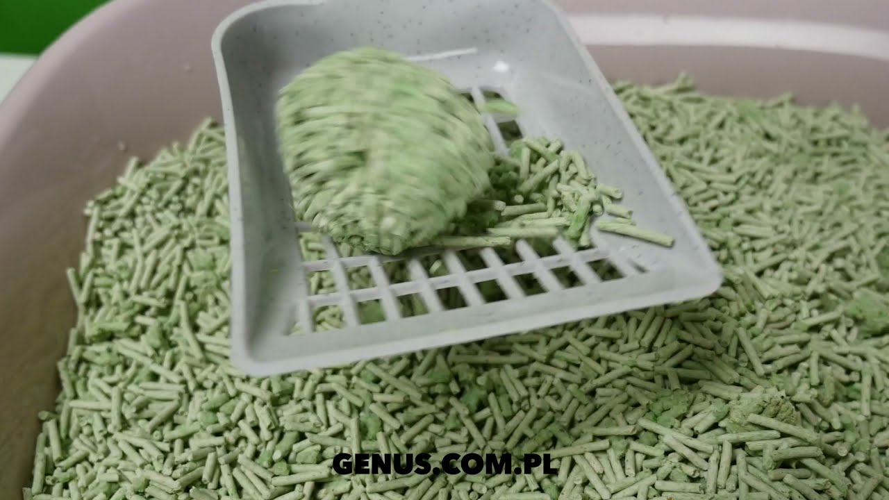 Jaki żwirek dla kota Naturalny, ekologiczny żwirek My Friend, zbrylający, wyrzucisz go do toalety