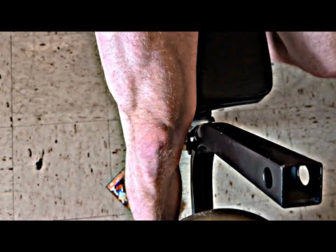 Spring Bulk Day 47 - Leg Day!