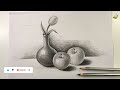 Object Apple Tulip Flower Pot Still Life Drawing Easy Step By Step With Pencil Shading YouTube Video