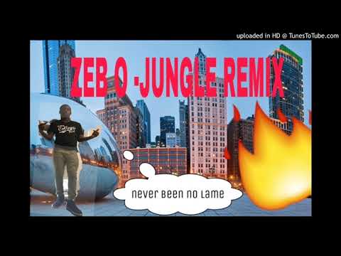 Zeb - O - Jungle (Remix)