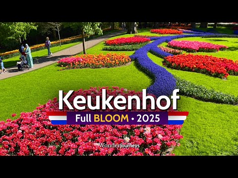 Keukenhof in voller Blüte 🌷🇳🇱 2025 [4K]