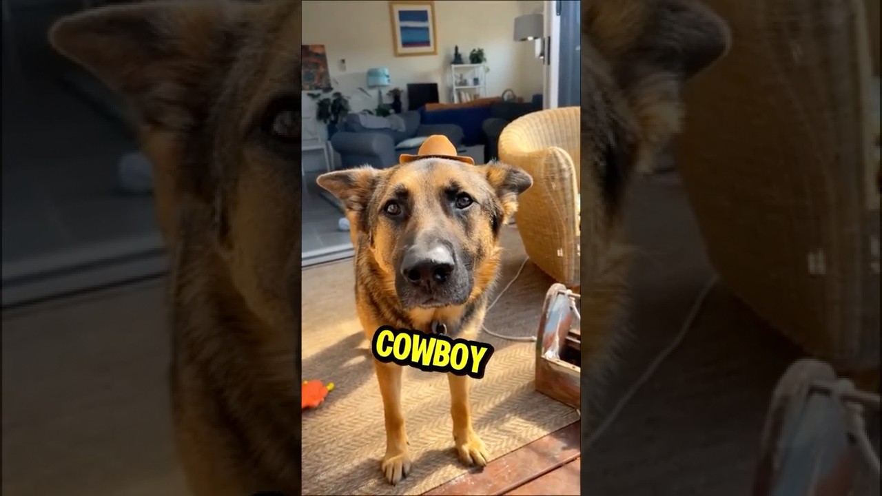 i aM NoT a SiLLy CoWbOy!