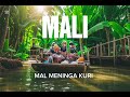 MALI Mal Meninga Kuri 2014
