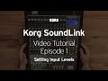 Korg Soundlink Video Tutorial Ep. 1 of 8: Setting Input Levels