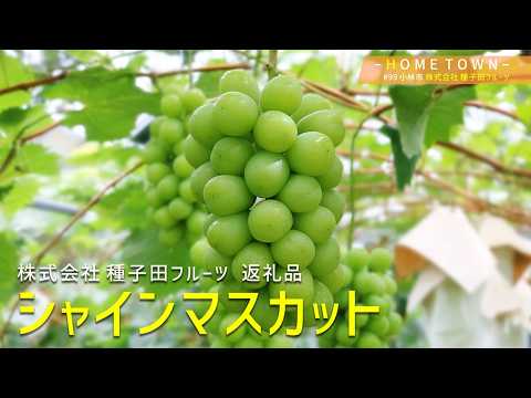 2026年8月18日(火)放送 #99 株式会社 種子田フルーツ