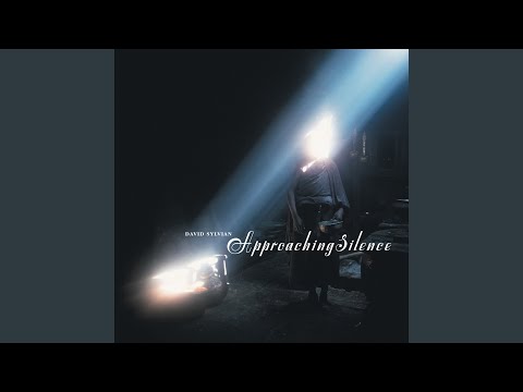 The Beekeeper's Apprentice