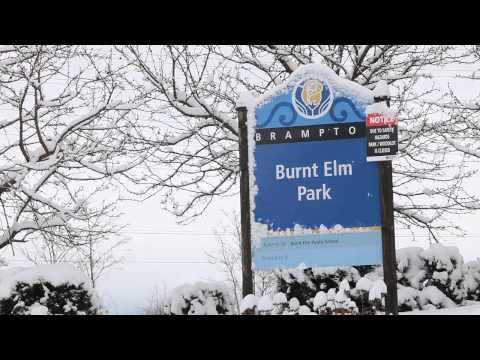 WILL ESTATE TV - 75 VICEROY CRES. BRAMPTON, ON