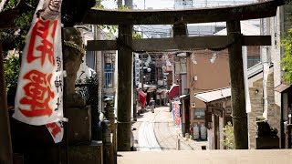 きーぽんの世界観光探訪学＃5 「三崎 in 神奈川県三浦市」