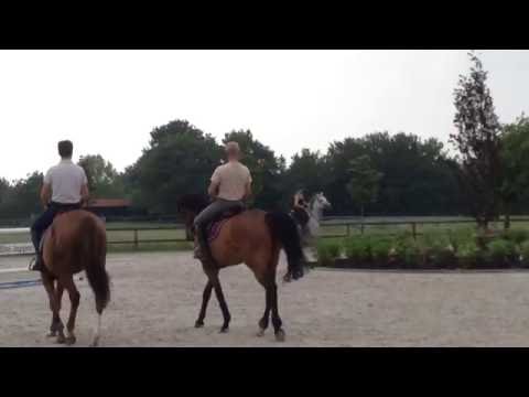 deblin training home