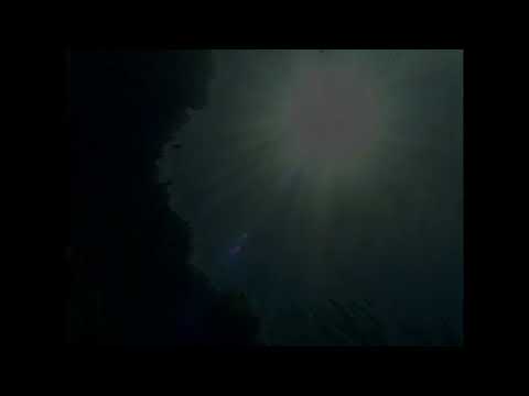 Jordan’s Sound Effects Compilation No.127:AMERICA: AFTERNOON AMBIENCE, HEAVY INSECTS, BIRDS, FOREIGN