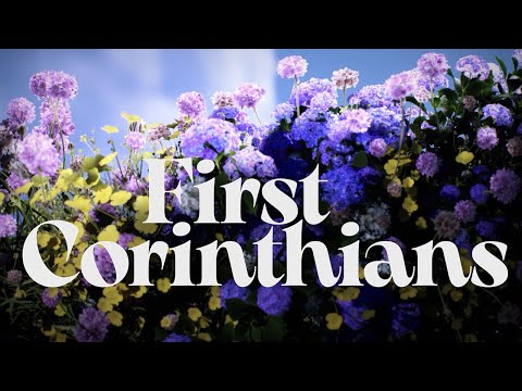 No Unnecessary Offense: To Your Neighbor