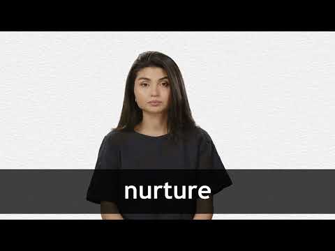 nurture meaning english