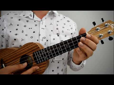 Wlazł kotek na płotek - Ukulele Bez Nut