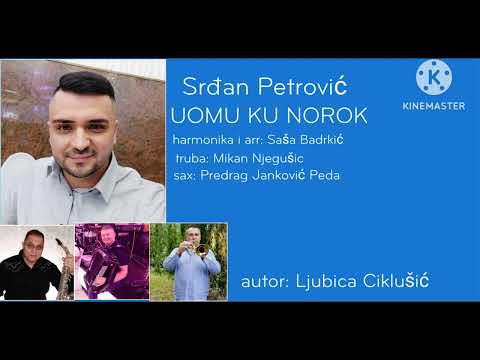 Srđan Petrović UOMU KU NOROK
