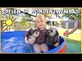 LUXY MET WOEZEL EN PiP iN HET ZWEMBAD! ?? | Bellinga Vlog #2131
