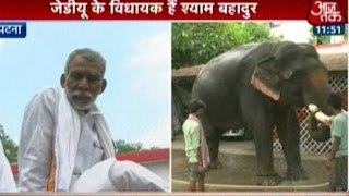JDU MLA Caught On Camera Riding Elephant Towards Legislative Assembly