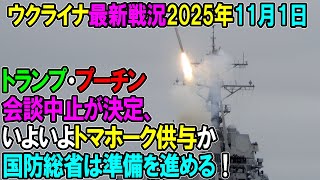 【ウクライナ戦況】25年11月1日。
