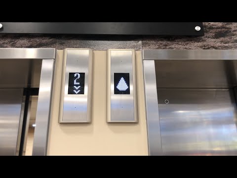 Awesome Brand New KONE EcoSpace East Elevators @ Scheels - Eden Prairie Center in Eden Prairie, MN